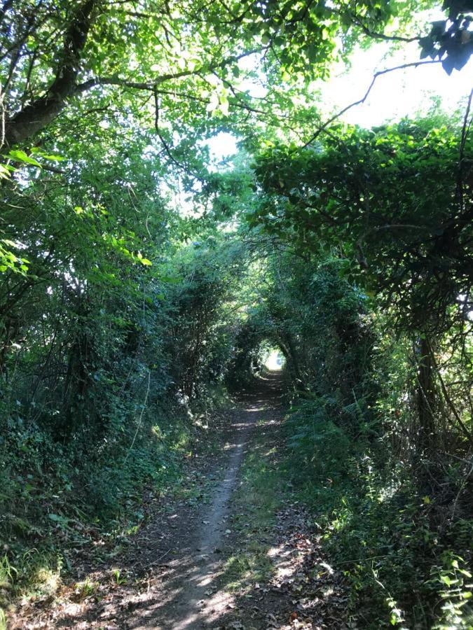 La Paix, Gite Bucolique En Normandie Condé-sur-Noireau Εξωτερικό φωτογραφία